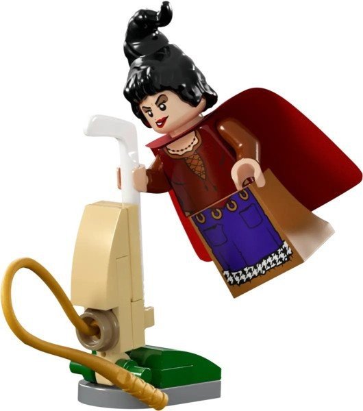 Блоковый конструктор LEGO Фокус-покус Диснея: Коттедж сестер Сандерсон (21341)  Фото №5