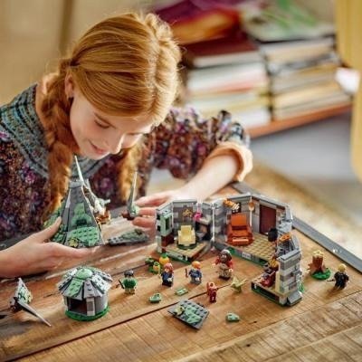 Блоковый конструктор LEGO Хижина Гагрида: неожиданный визит (76428)  Фото №2