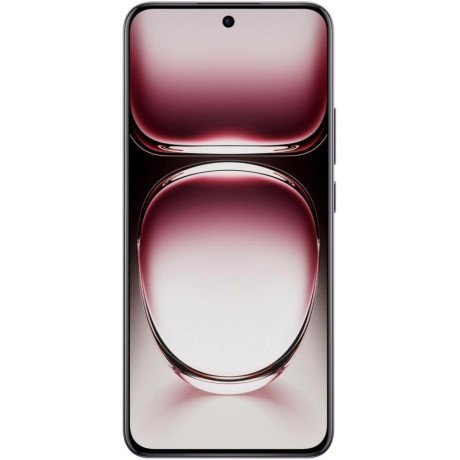 Смартфон OPPO Reno12 Pro 5G 12/256GB Nebula Black (no Box)  Фото №0