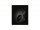 Наушники Philips Fidelio X2HR Black  Фото №2