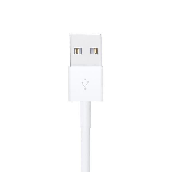 Кабель Lightning Apple Lightning USB 1m (MXLY2) MXLY2  Фото №1