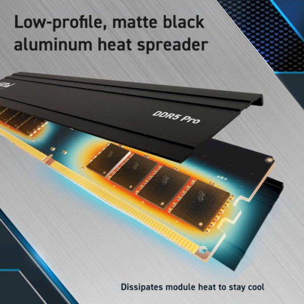 Пам&#039;ять для настільних комп&#039;ютерів Crucial 64 GB (2x32GB) DDR5 5600 MHz Pro (CP2K32G56C46U5)  Фото №7