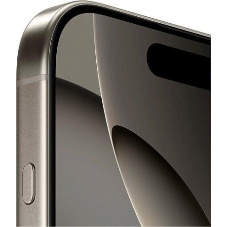 Смартфон Apple iPhone 16 Pro Max 256GB Natural Titanium (MYWY3)  Фото №3