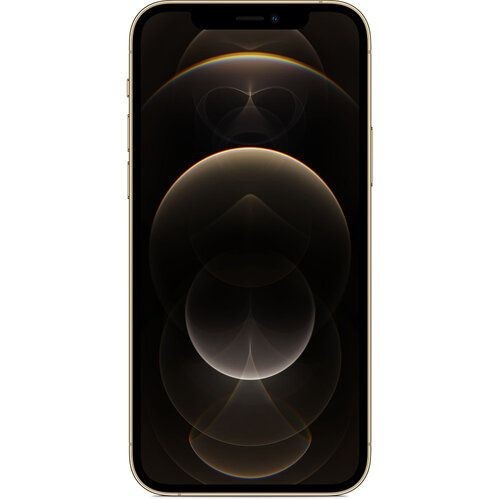 Смартфон Apple iPhone 12 Pro Max 128GB Gold (MGD93/MGCH3)  Фото №0