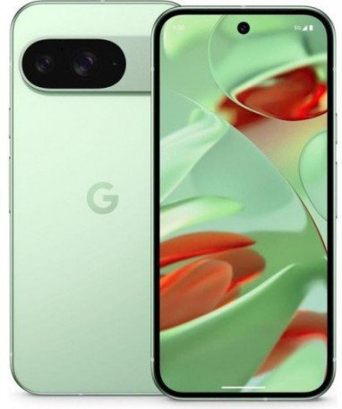 Смартфон Google Pixel 9 12/128GB Wintergreen (Global EU)