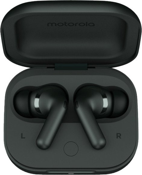 Навушники TWS Motorola Moto Buds+ Forest Grey (PG38C05743)