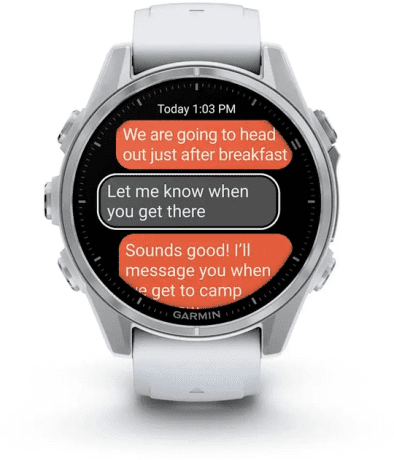 Спортивний годинник Garmin Fenix 8 43mm Amoled Silver with Whitestone Silicone Band (010-02903-00)  Фото №5