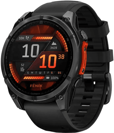 Спортивные часы Garmin Fenix ??8 47mm Amoled Slate Gray with Black Silicone Band (010-02904-00)