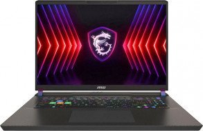 Ноутбук MSI Vector 17HX A14VGG (A14VGG-221PL)