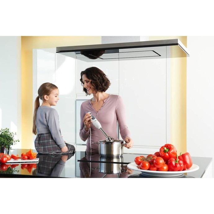 Погружной блендер Braun MultiQuick 3 Vario MQ 3100 Smoothie+  Фото №1
