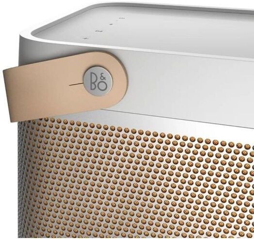 Портативные колонки Bang &amp; Olufsen Beolit 20 Grey Mist  Фото №0