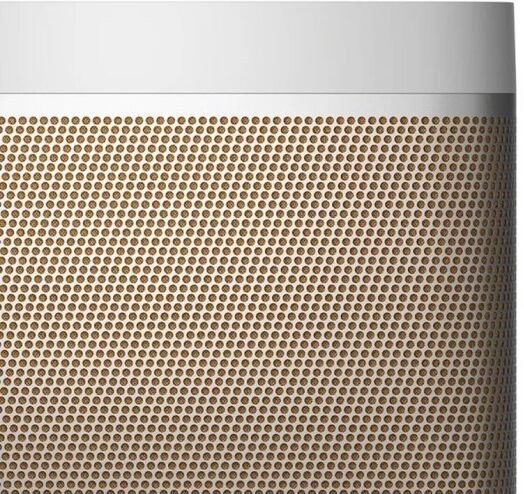 Портативные колонки Bang &amp; Olufsen Beolit 20 Grey Mist  Фото №1