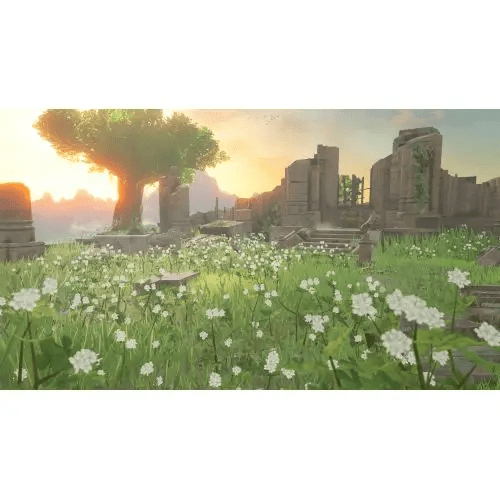 Гра для Nintendo Switch The Legend of Zelda: Breath of the Wild Nintendo Switch  Фото №1