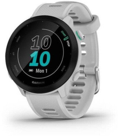 Спортивний годинник Garmin Forerunner 55 White (010-02562-11)  Фото №0