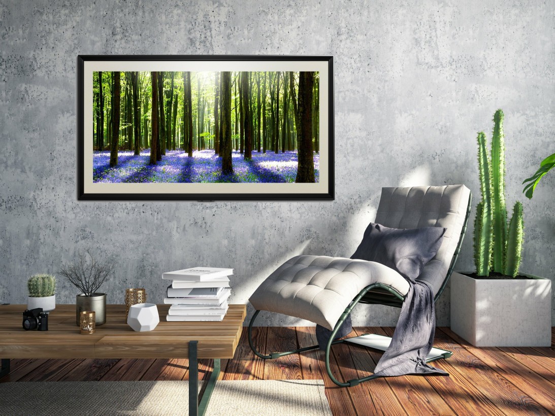 Телевізор LG OLED55G1  Фото №10