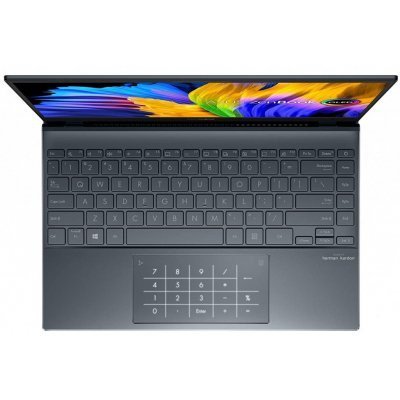 Ультрабук ASUS ZenBook 13 OLED UX325EA Pine Grey (UX325EA-KG743W)  Фото №2