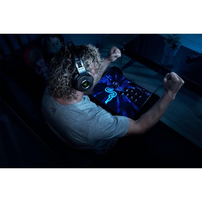 Геймпад Razer Panthera Evo Arcade Stick for PS4 (RZ06-02720100-R3G1)  Фото №2