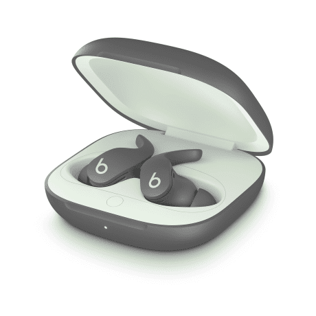 Наушники TWS Beats by Dr. Dre Fit Pro Sage Gray (MK2J3)  Фото №2