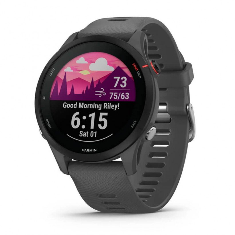 Смарт-годинник Garmin Forerunner 255 Slate Gray (010-02641-00/10)  Фото №0