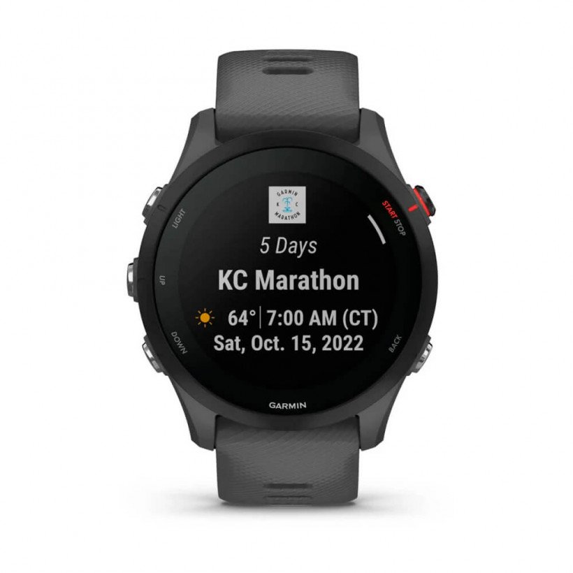 Смарт-годинник Garmin Forerunner 255 Slate Gray (010-02641-00/10)  Фото №3