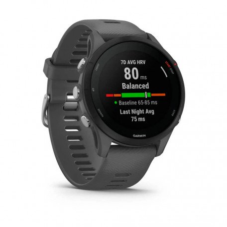 Смарт-годинник Garmin Forerunner 255 Slate Gray (010-02641-00/10)  Фото №1