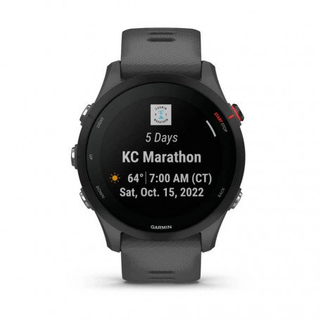 Смарт-годинник Garmin Forerunner 255 Slate Gray (010-02641-00/10)  Фото №3
