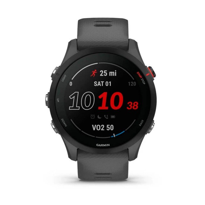Смарт-годинник Garmin Forerunner 255 Slate Gray (010-02641-00/10)