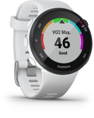 Спортивные часы Garmin Forerunner 45s White (010-02156-00/10)  Фото №1