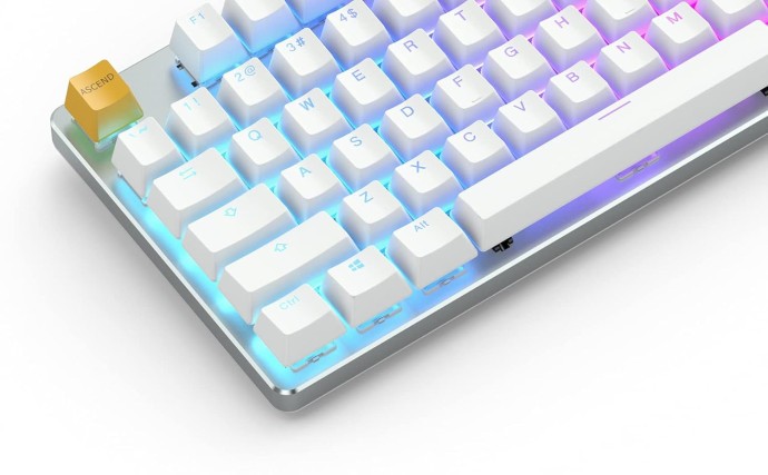 Клавиатура Glorious GMMK TKL White (GLO-GMMK-TKL-BRN-W)  Фото №1