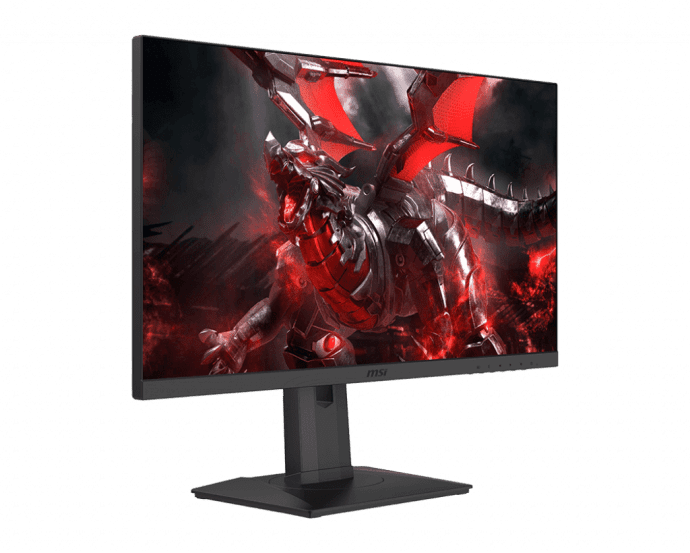 ЖК монитор MSI Optix G251PF  Фото №0