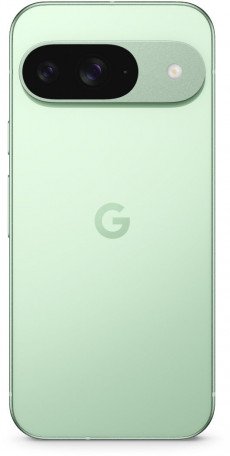 Смартфон Google Pixel 9 12/128GB Wintergreen (JP)  Фото №1