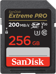 Карта памяти SanDisk 256 GB SDXC UHS-I U3 V30 Extreme PRO (SDSDXXD-256G-GN4IN)