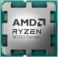 Процесор AMD Ryzen 9 9900X (100-100000662WOF)