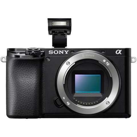 Беззеркальный фотоаппарат Sony Alpha A6100 body with Software Suite Bundle  Фото №5