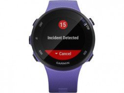 Спортивний годинник Garmin Forerunner 45s Iris (010-02156-11/010-02156-01)