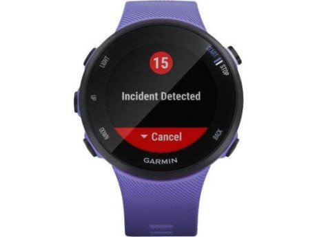 Спортивные часы Garmin Forerunner 45s Iris (010-02156-11/010-02156-01)