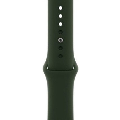 Смарт-часы Apple Watch Series 6 GPS + Cellular 40mm Gold Stainless Steel Case w. Cyprus Green Sport B. (M02W3)  Фото №1