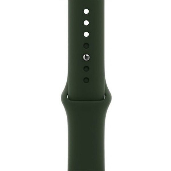 Смарт-годинник Apple Watch Series 6 GPS + Cellular 44mm Gold Stainless Steel Case w. Cyprus Green Sport B. (M07N3/M09F3)  Фото №1