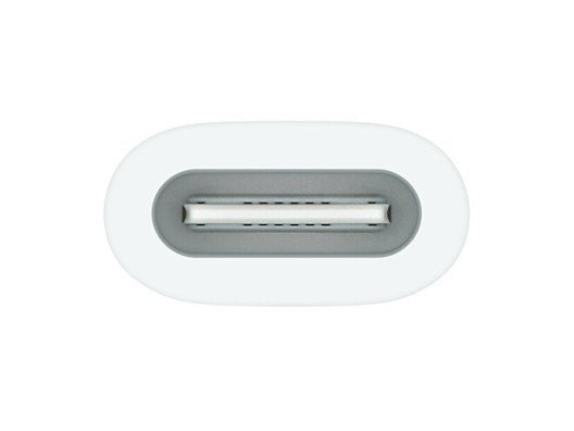 Адаптер Apple Pencil Apple USB-C to Apple Pencil Adapter (MQLU3)  Фото №0