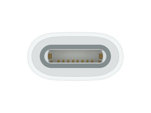 Адаптер Apple Pencil Apple USB-C to Apple Pencil Adapter (MQLU3)  Фото №1