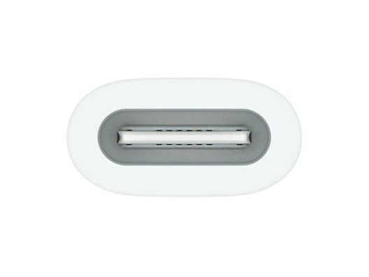 Адаптер Apple Pencil Apple USB-C to Apple Pencil Adapter (MQLU3)  Фото №0