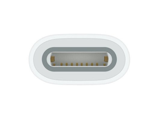 Адаптер Apple Pencil Apple USB-C to Apple Pencil Adapter (MQLU3)  Фото №1