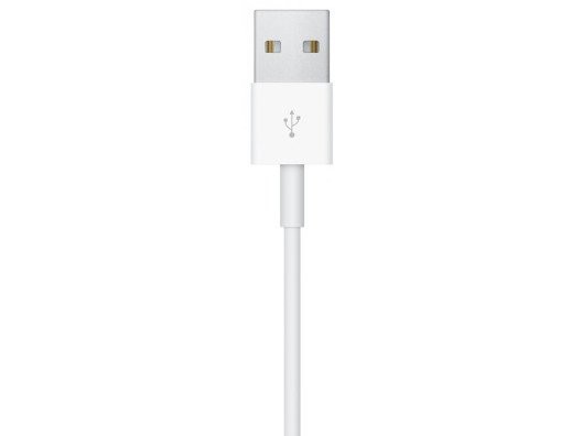 Бездротовий зарядний пристрій Apple Watch Magnetic Charger to USB-C Cable 0,3m (MU9K2, MX2J2, MX2H2)  Фото №2