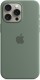 Чохол для смартфона Apple iPhone 15 Silicone Case with MagSafe - Cypress (MT0X3)