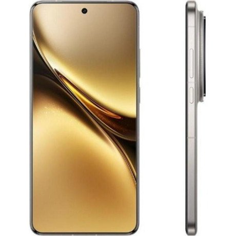 Смартфон vivo X200 Pro 16/512GB Titanium (Global EU)  Фото №0