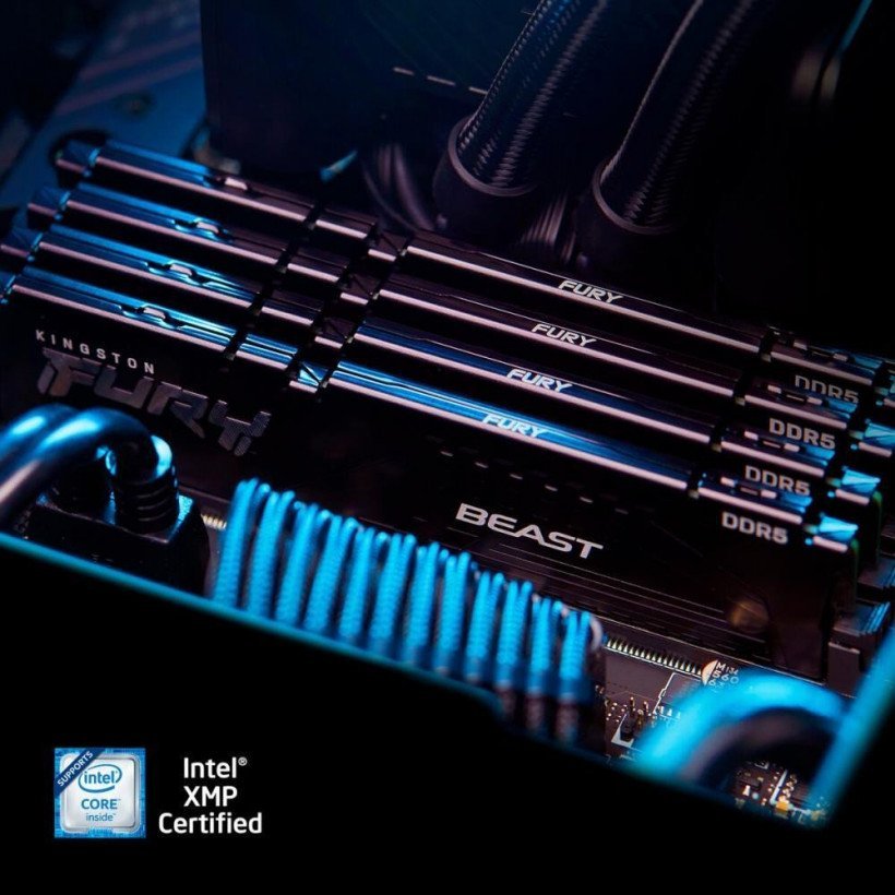 Память для настольных компьютеров Kingston FURY 16 GB DDR5 6000 MHz Beast (KF560C30BB-16)  Фото №8
