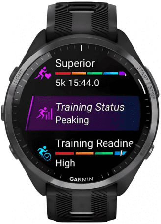 Смарт-часы Garmin Forerunner 965 Carbon Gray Titanium Bezel w. Blk Case Blk/Powder Gray S. Band (010-02809-00/10/80)  Фото №3