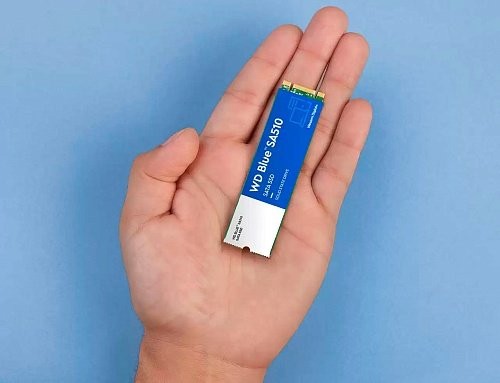 SSD накопитель WD Blue SA510 M.2 1 TB (WDS100T3B0B)  Фото №3