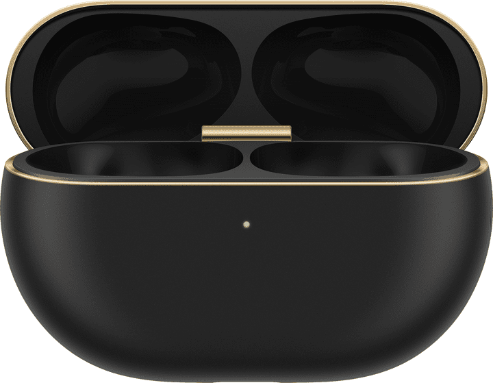 Наушники TWS HUAWEI FreeBuds Pro 4 Black (55037962)  Фото №0