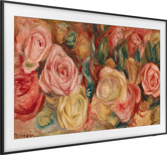 Телевизор Samsung QE43LS03D  Фото №9